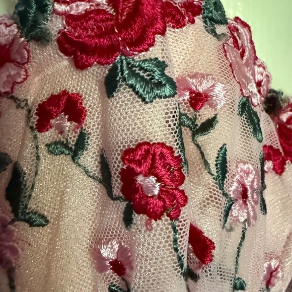 Fredrick's Of Hollywood Pink Floral Embroidered Corset Size 32 Coquette - Picture 3 of 16